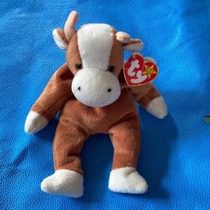 Ty Beanie Baby